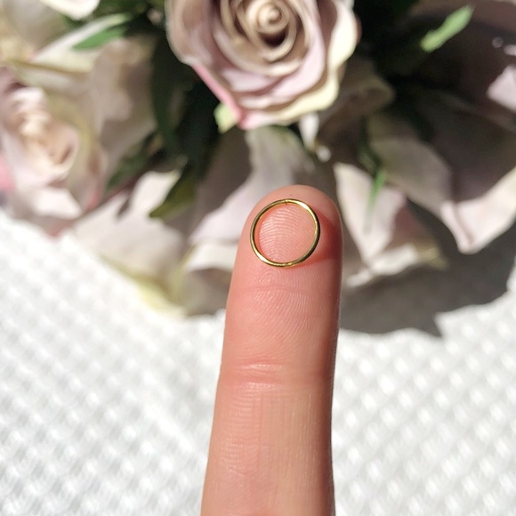 Nose Ring Nose Hoop Nose Stud 22g 20g 18g 16g - Picture 4 of 8
